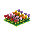 BRIXIES Tulpenfeld
