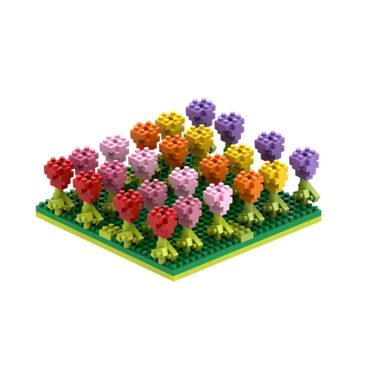 BRIXIES Tulpenfeld