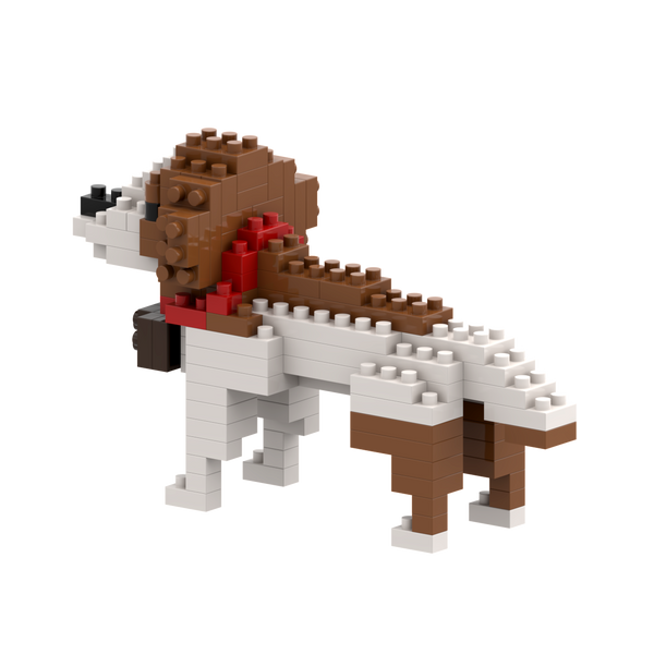 BRIXIES St. Bernard