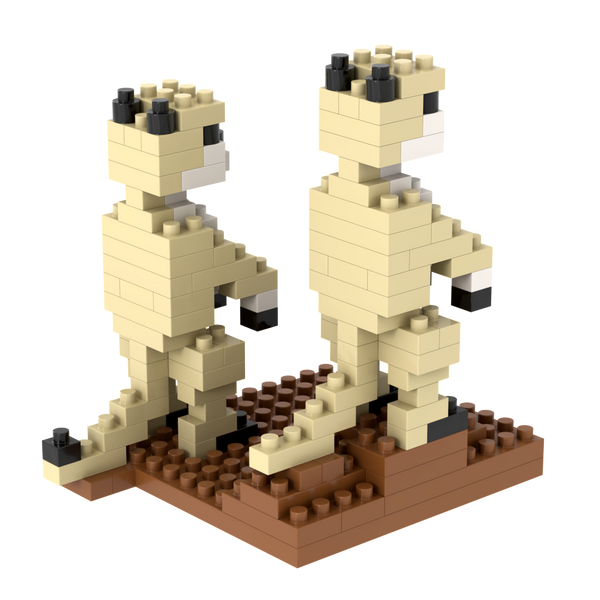 BRIXIES Meerkats