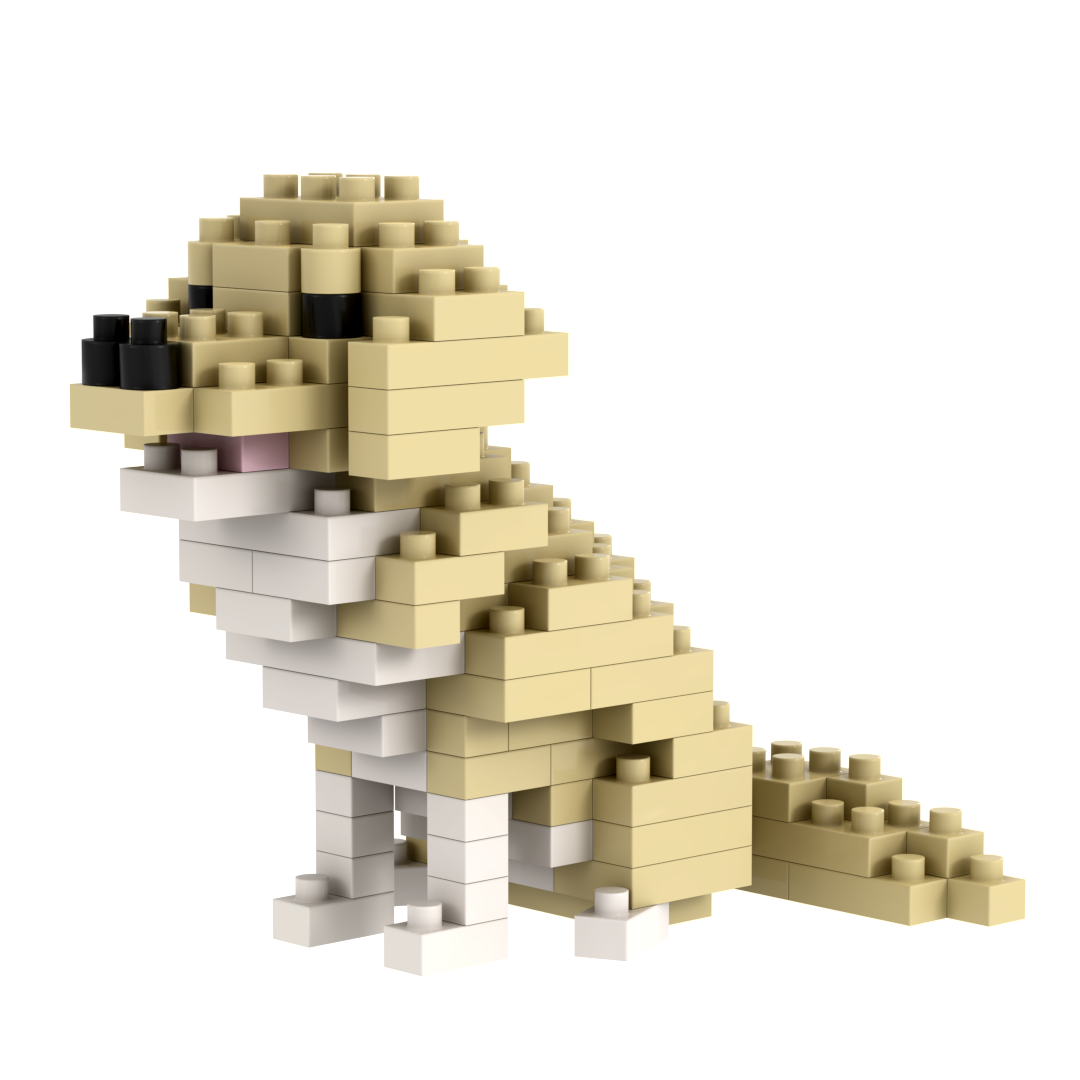 BRIXIES Labrador