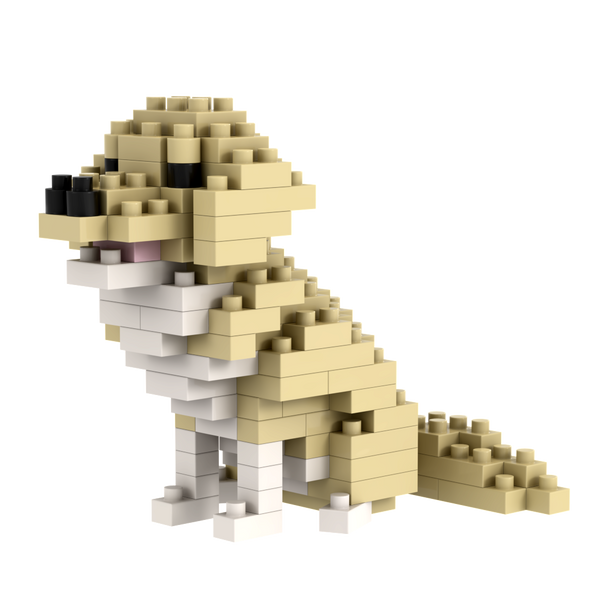 BRIXIES Labrador