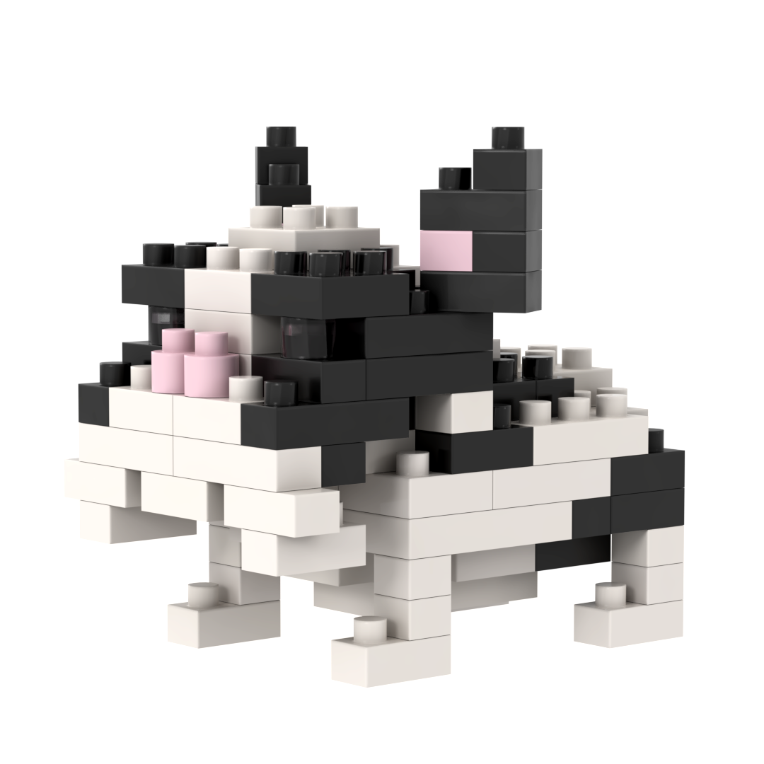 BRIXIES French Bulldog
