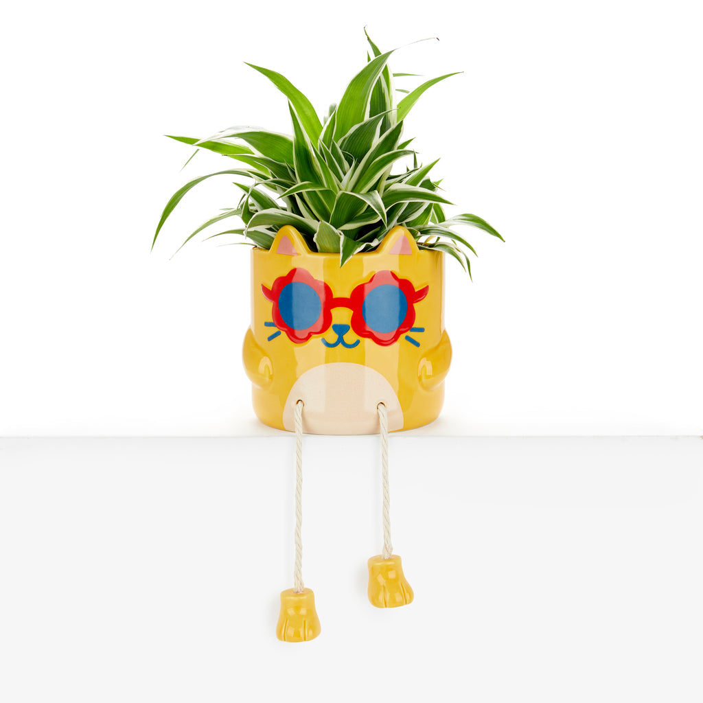 Pot de fleurs Cool Cat
