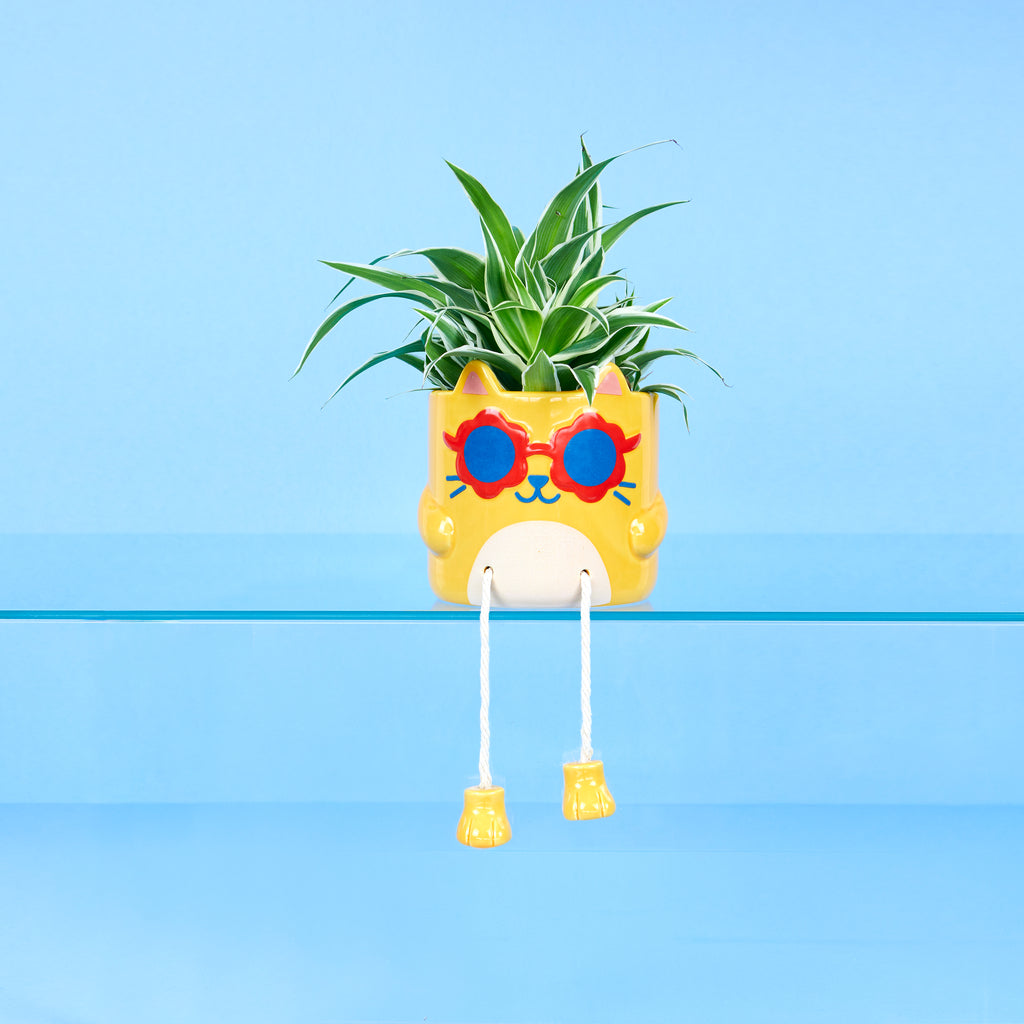 Pot de fleurs Cool Cat