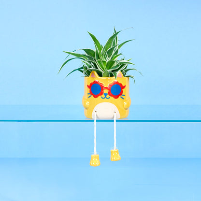 Pot de fleurs Cool Cat