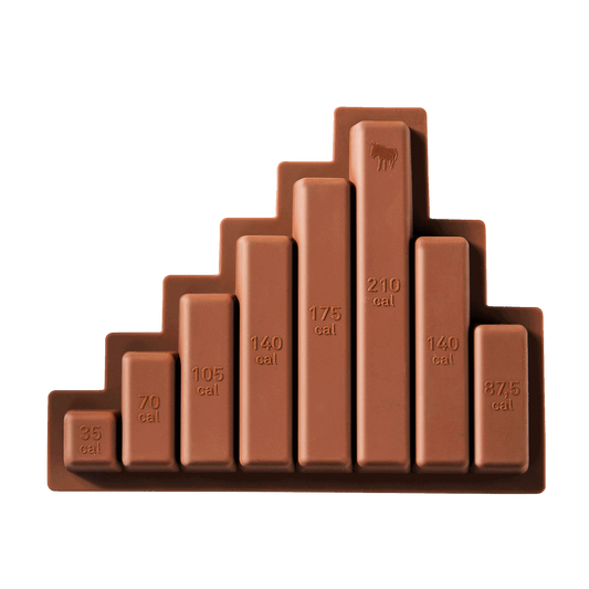 moule a chocolat donkey