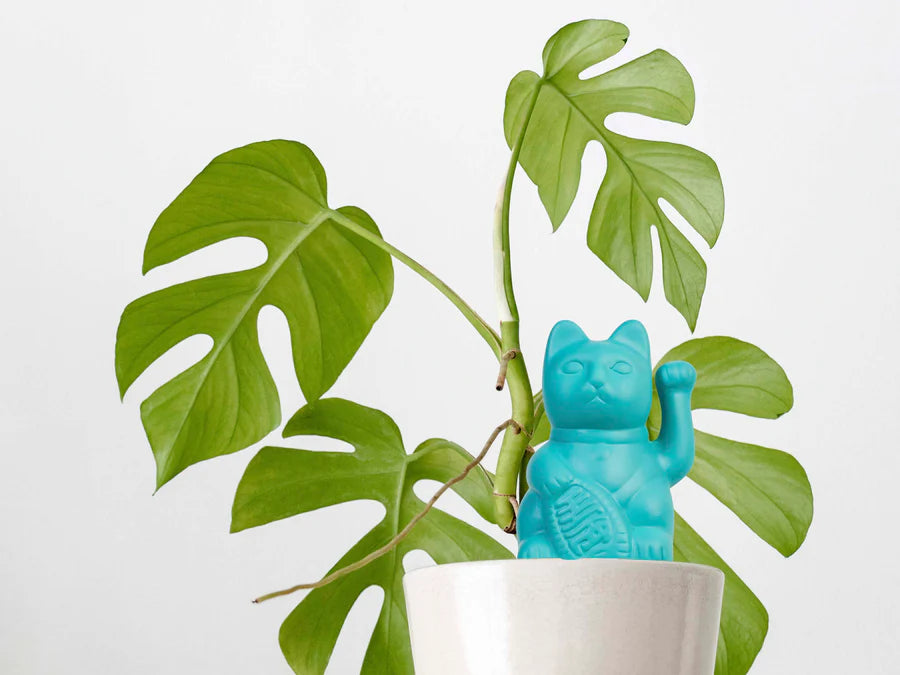 Irrigatore auto-galleggiante Lucky Cat Blue