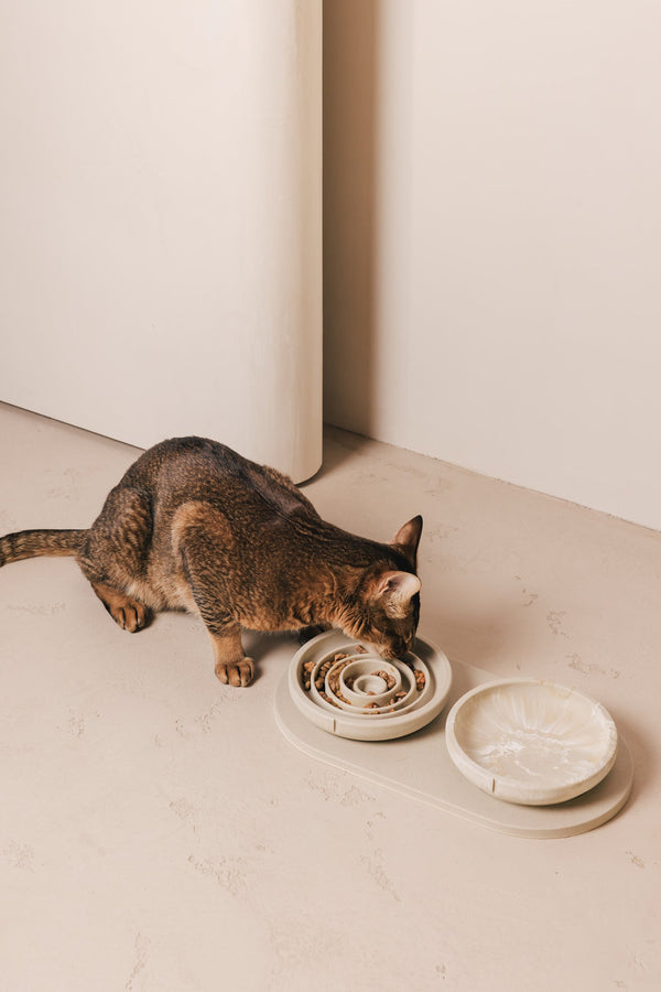 Slow Feeder Bowl for Cats – product view 2