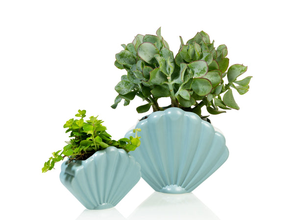 Pot de Fleur Coquillage Bleu – Grand – Bitten