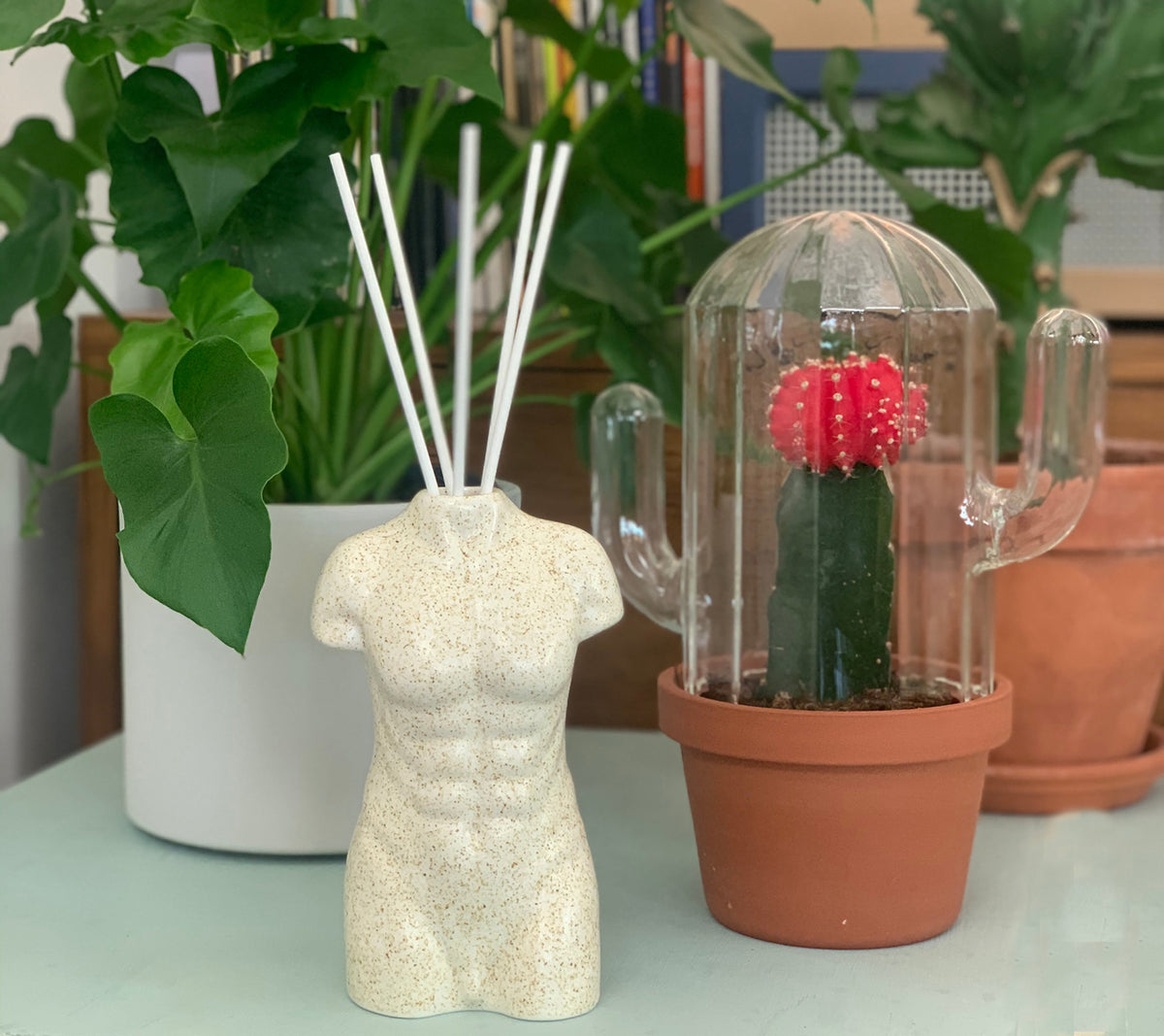 Adonis Home Oil Diffuser with 40 ml oil + 5 sticks
