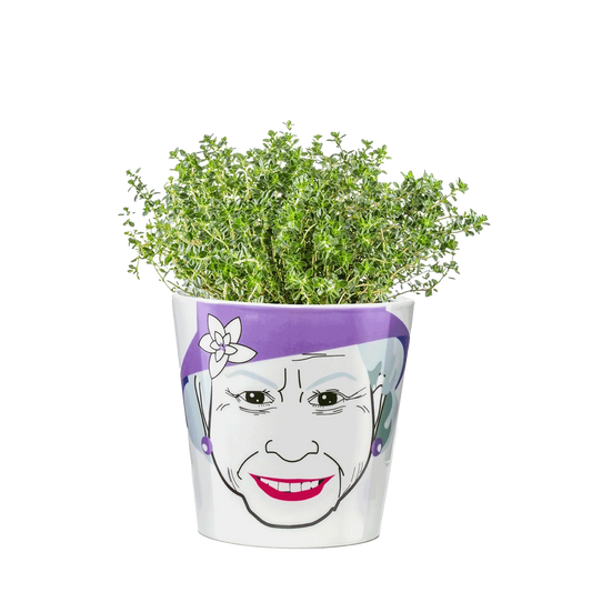 Queen flower pot