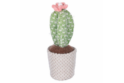 FABRIC CACTUS 6 ASST - 2188512