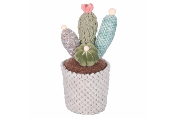 FABRIC CACTUS 6 ASST - 2188512