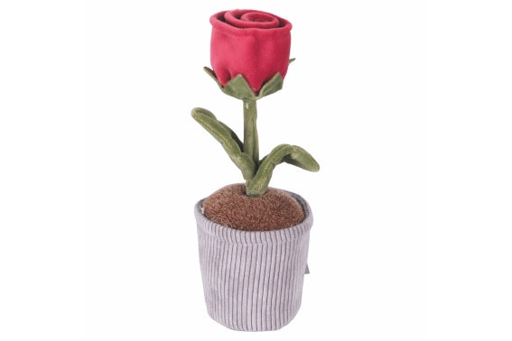 FABRIC FLOWER SEEDLING 5 ASS - 2188513
