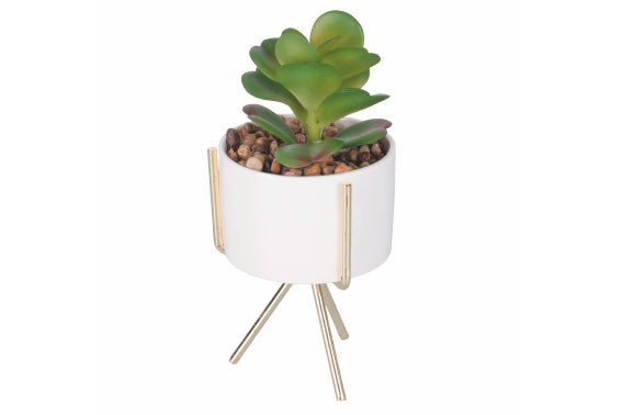 SUCCULENT SEEDLING WITH GOLD STAND H. 17CM 6 ASST - 2188530