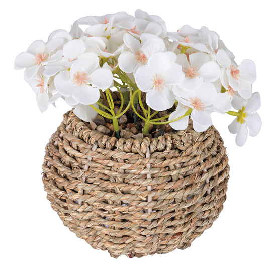 PRIMROSE PLANT RAFFIA POT H. 20CM - 2188531