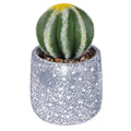 CACTUS PLANT H. 15CM - 2188538
