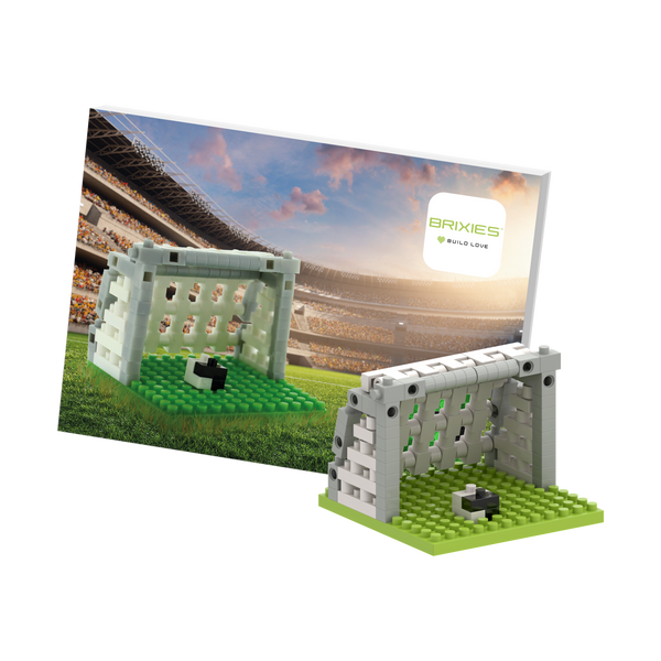 BRIXIES Postcard Football