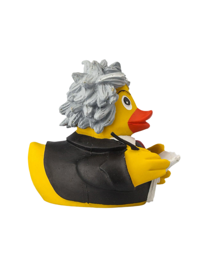 Beethoven Duck