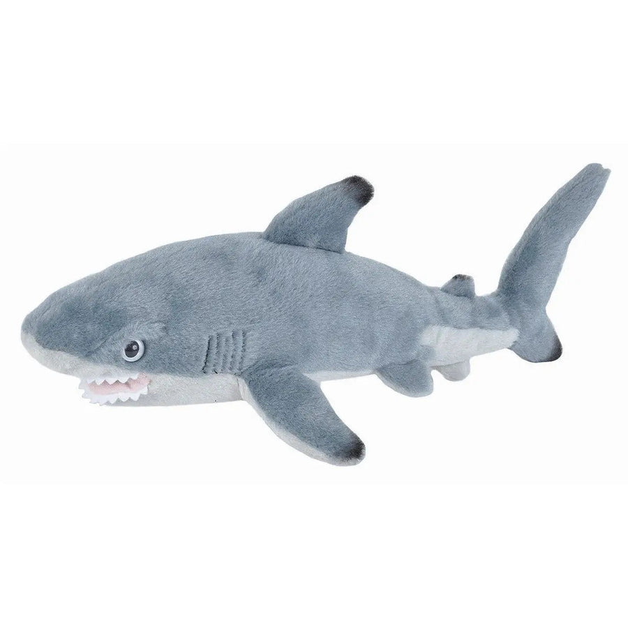 Blacktip shark