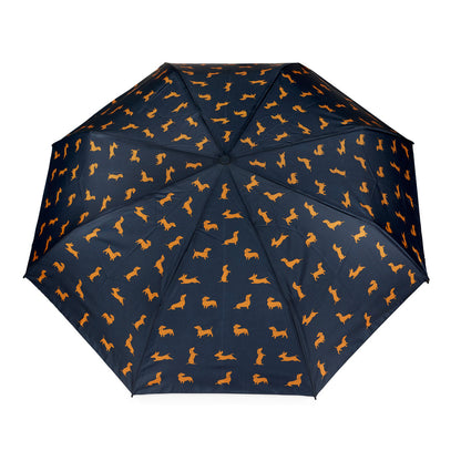Parapluie Teckel