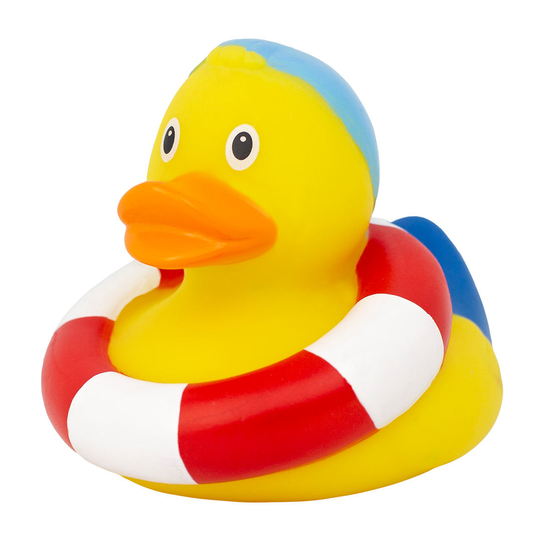 Swimming Duck