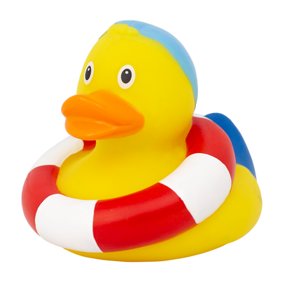Swimming Duck