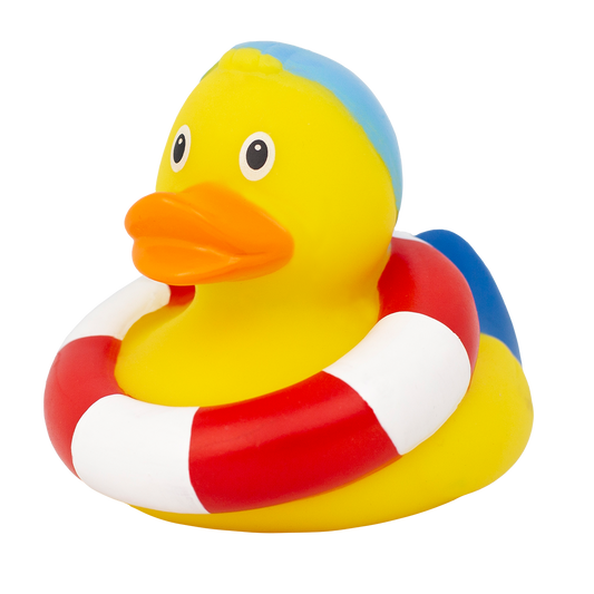 Swimming Duck