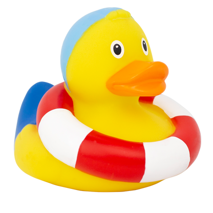 Swimming Duck