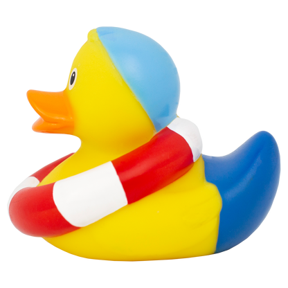 Swimming Duck