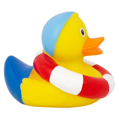 Swimming Duck