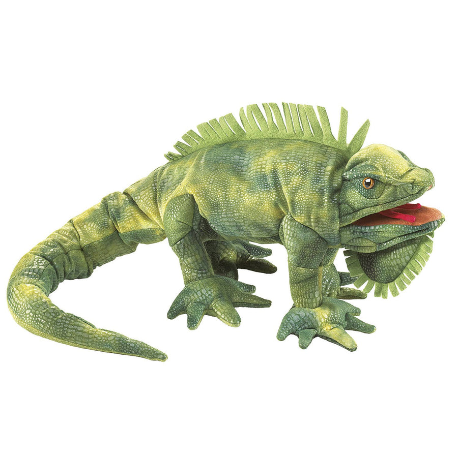 Iguana verde