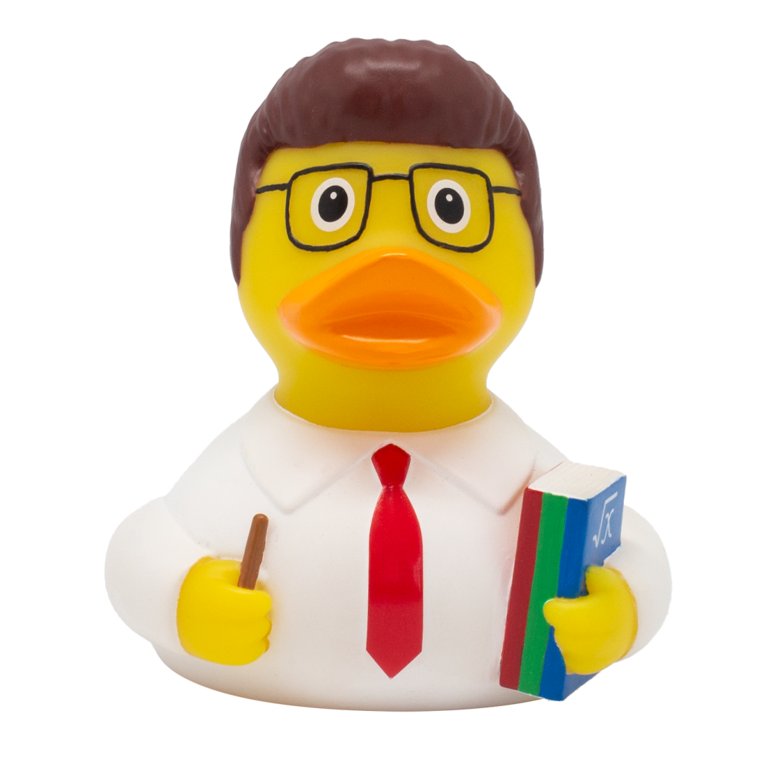 Anatra, insegnante