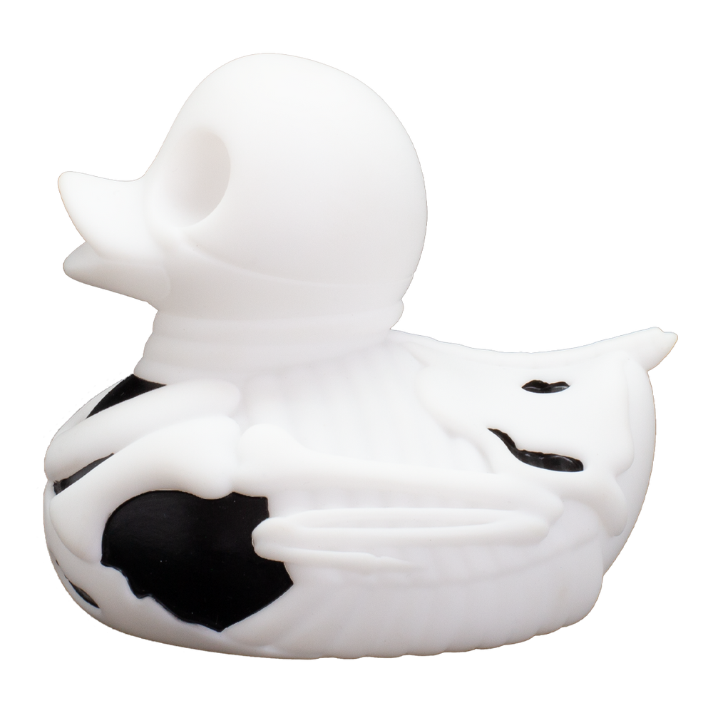 Canard Squelette Os