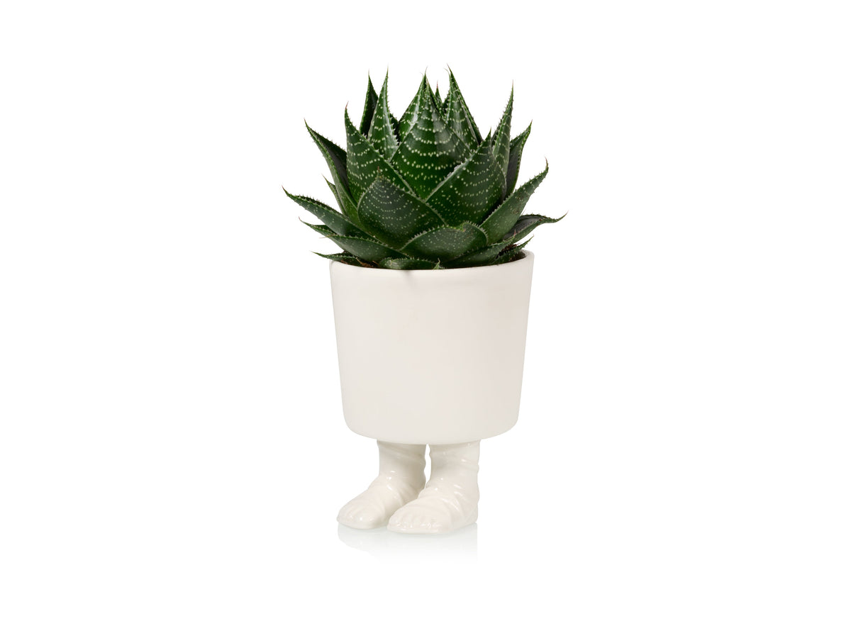 Pot de Fleur Sandale Gladiateur – Grand