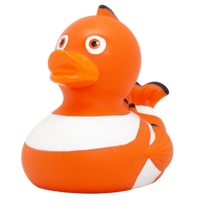 Clownfish Duck