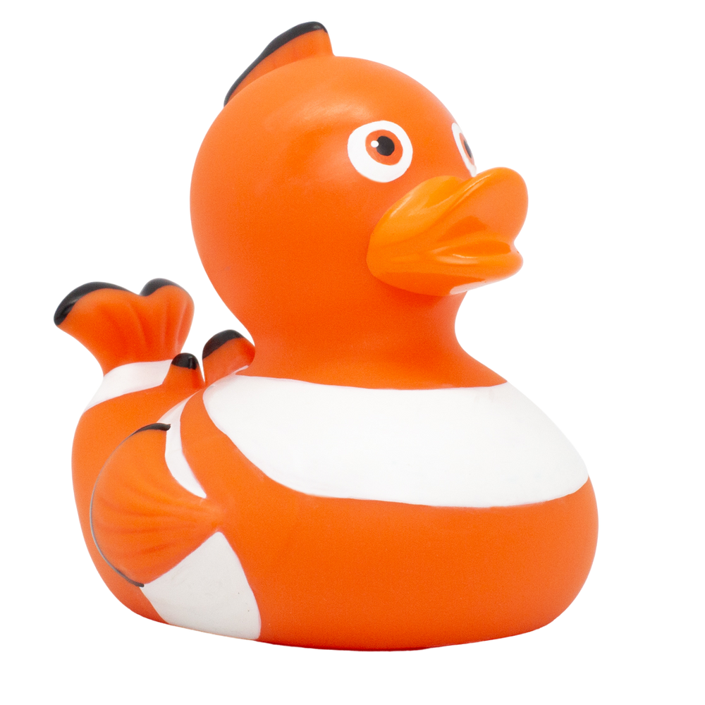 Pesce pagliaccio anatra
