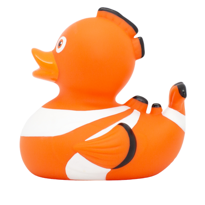 Clownfish Duck