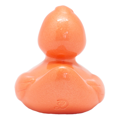 Duck My Copper Heart