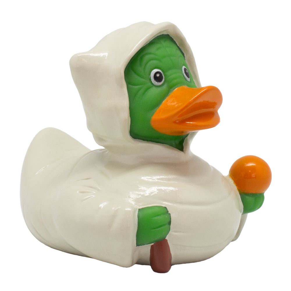Canard Grom