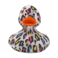 Canard Léopard Sauvage