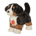 Cucciolo Bovaro del Bernese in Piedi – 23 cm