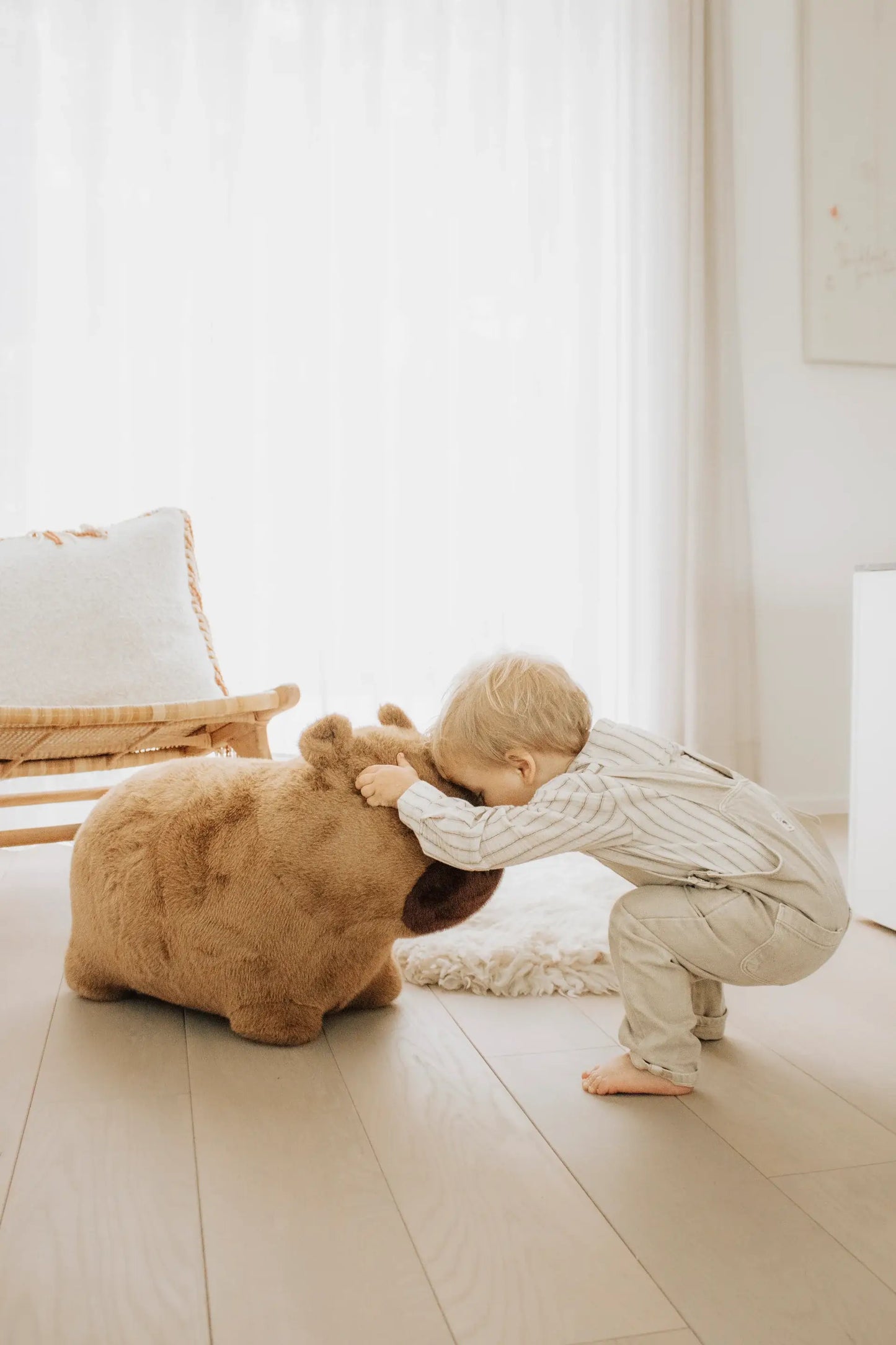 Soft and bouncy capybara