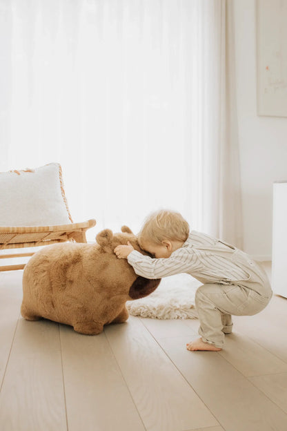 Soft and bouncy capybara