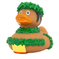 Canard Hawaïen