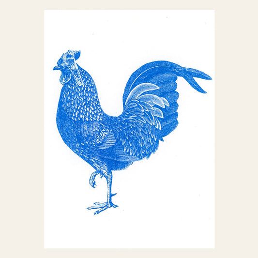 Blue Rooster Postcard