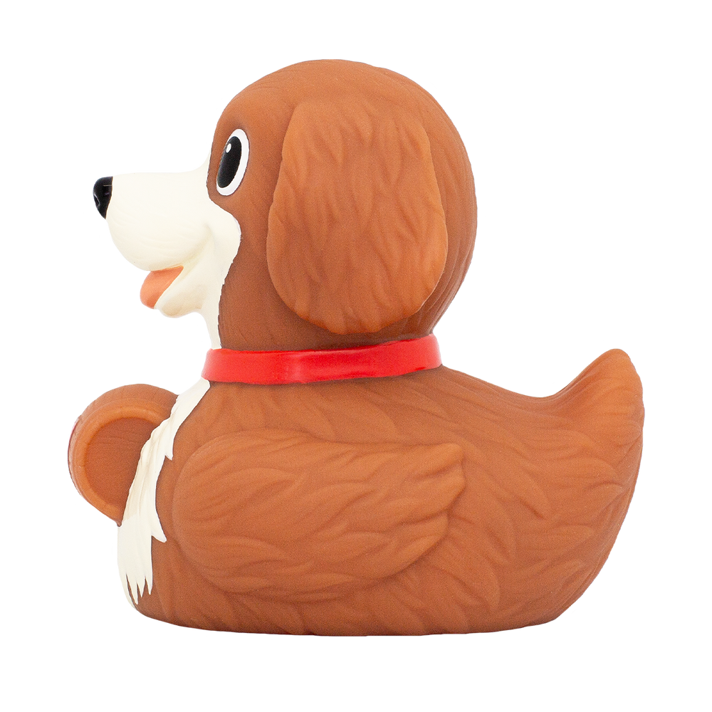 Canard Chien de Montagne