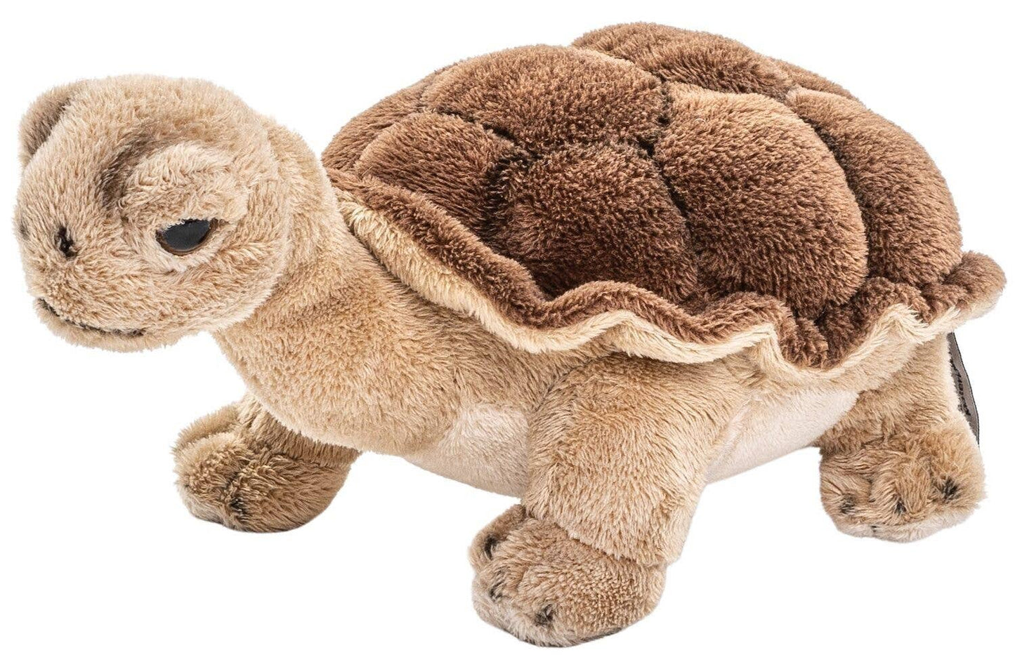 Turtle Plush