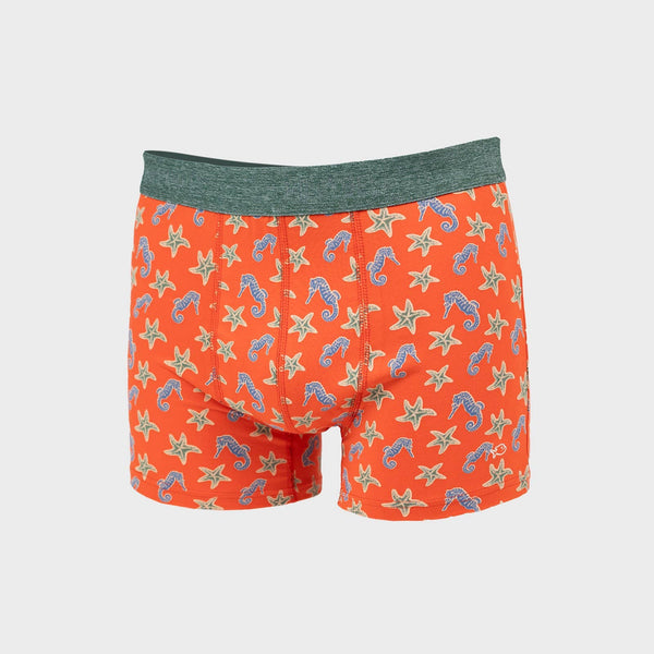Organic Cotton Boxer Shorts - Seahorse
